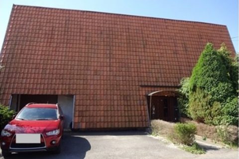 foto muškatova 1